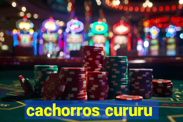 cachorros cururu